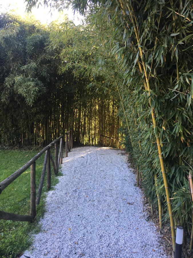 Villa La Bianca 카마이오레 외부 사진
